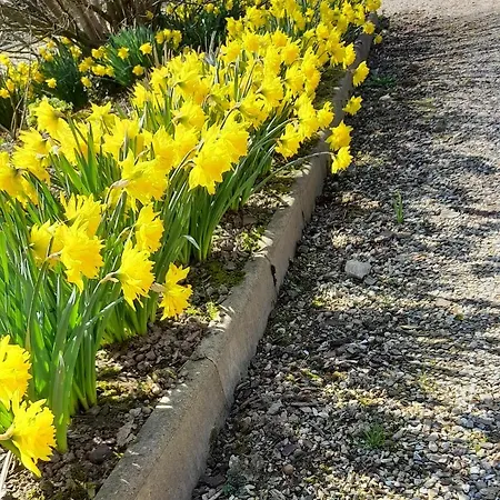 شقة L'abri Des Ames *