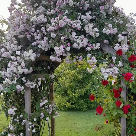 L'abri Des Ames * Gerponville