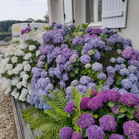 L'abri Des Ames شقة