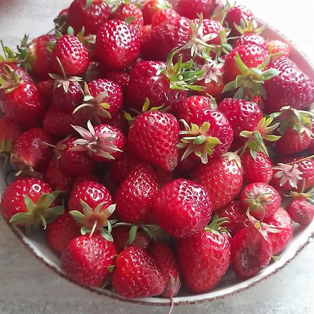 L'abri Des Ames * Gerponville