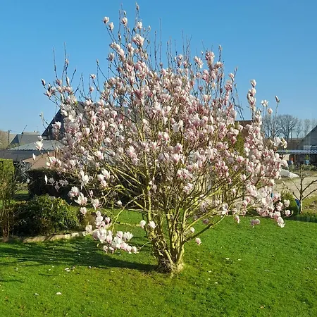 L'abri Des Ames Gerponville