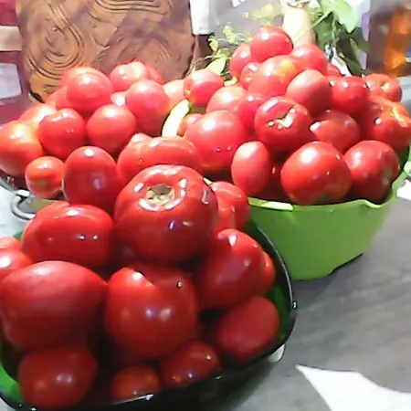 L'abri Des Ames شقة *